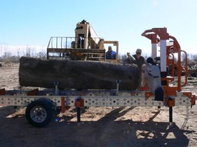 Sawing Sycamore With a Norwood Portable Sawmill Image